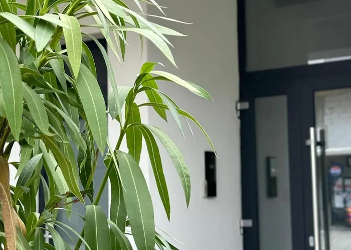 Cube2 Boutique * Năvodari