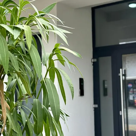 Cube2 Boutique * Navodari